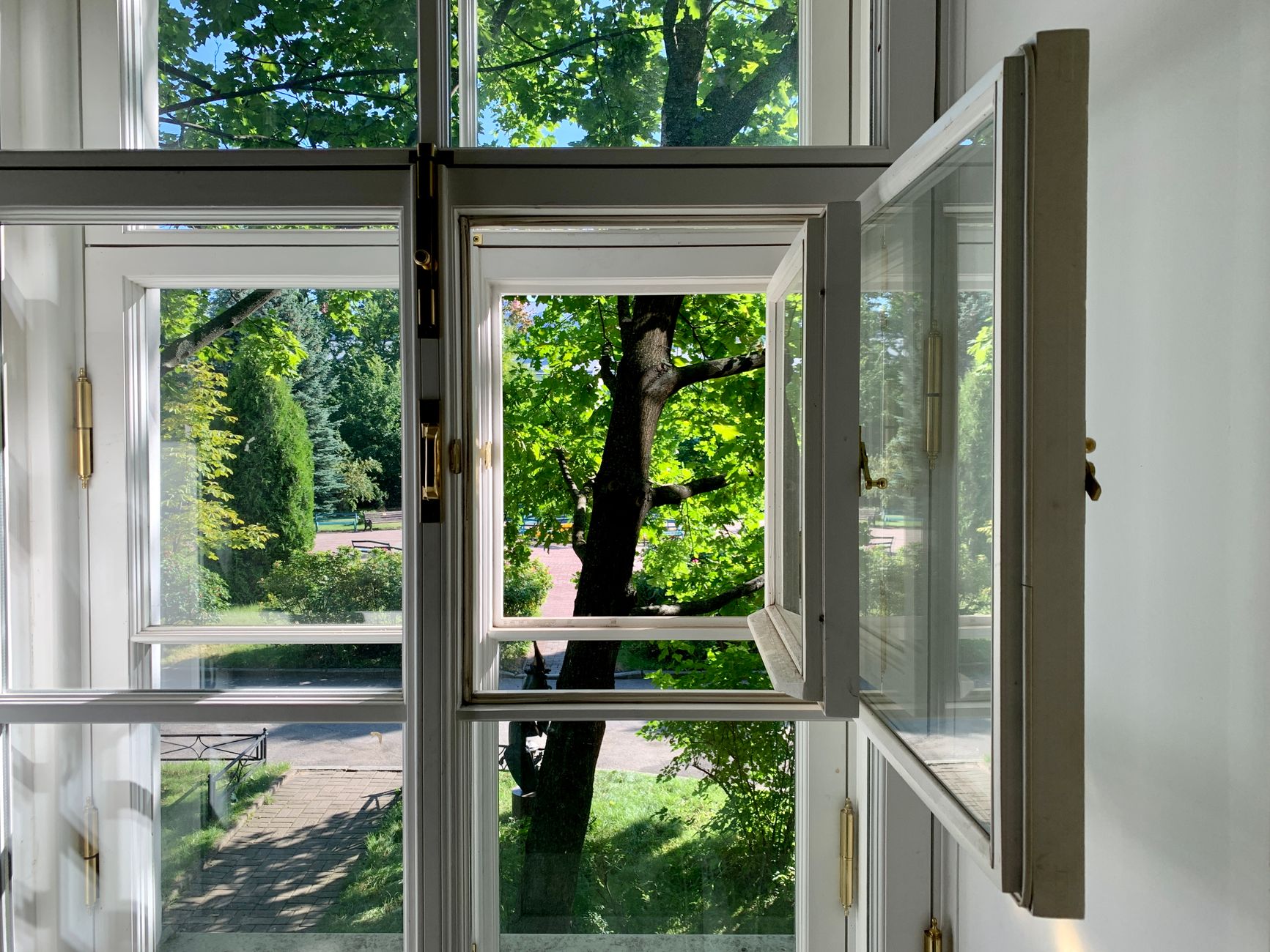 Open casement window sashes showing glazing, hinges and latches against a leafy view