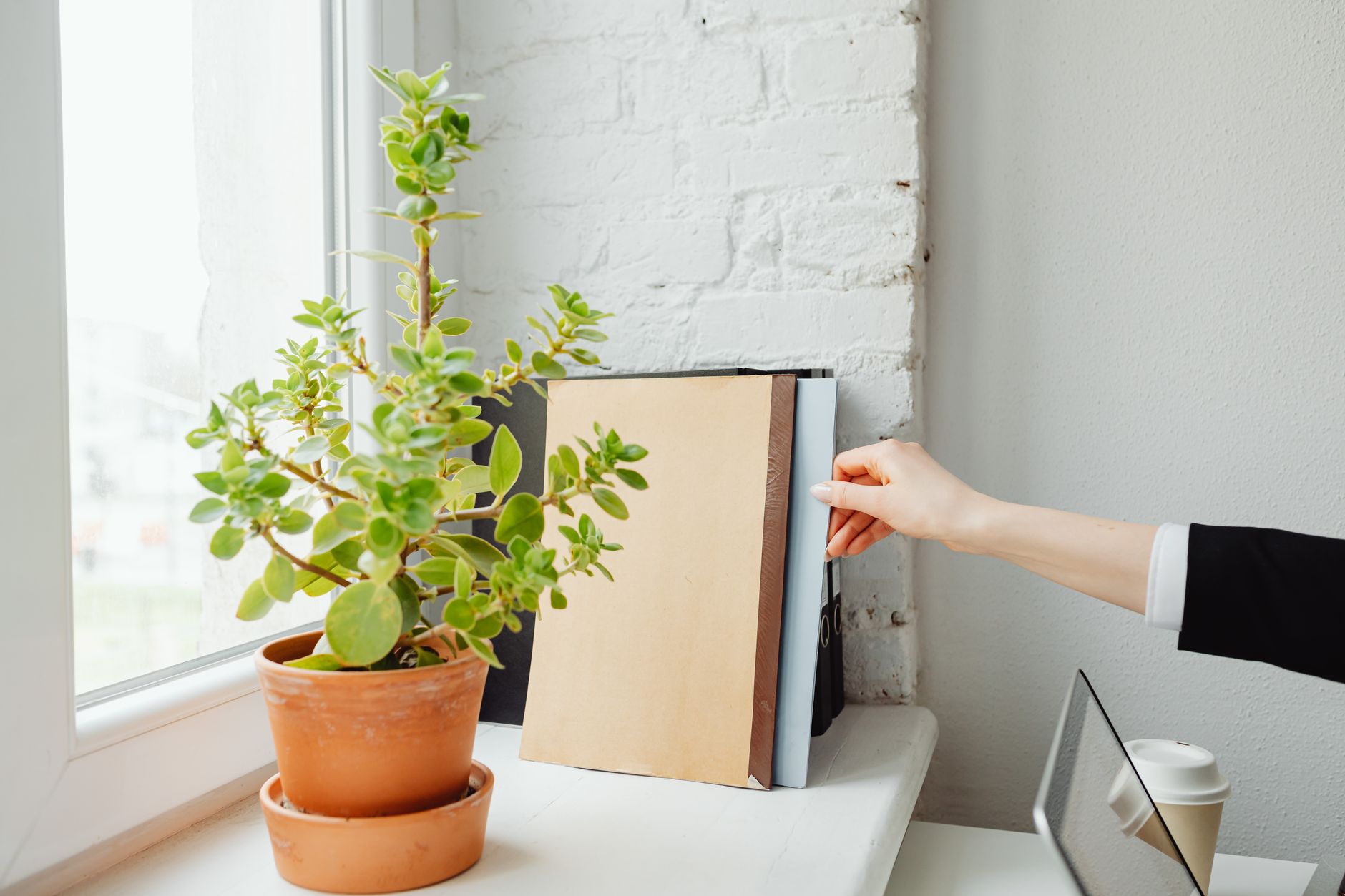 Hand pulling a document folder from a row of files standing on a white windowsill
